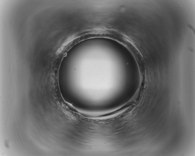 X0000100211304200805301317