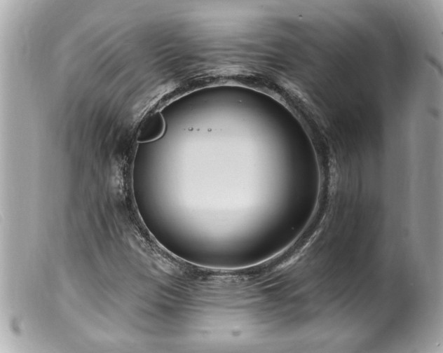 X0000100211305200805301317