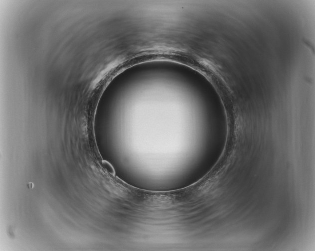 X0000100211307200805301317