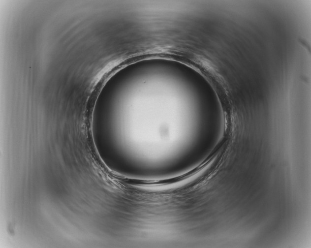X0000100211308200805301317