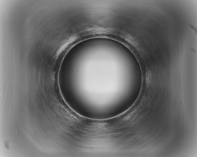 X0000100211309200805301317