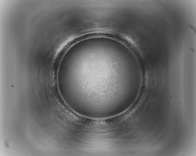 X0000100211310200805301317