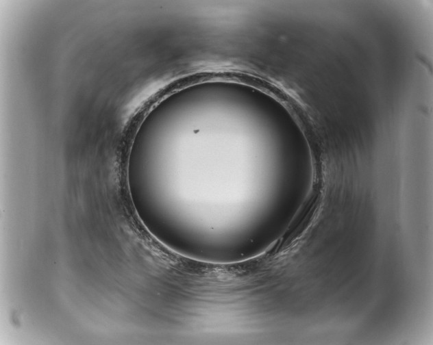 X0000100211311200805301317