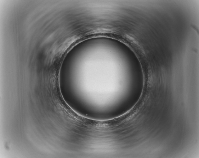 X0000100211313200805301317