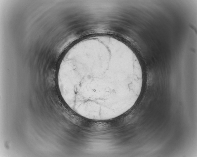 X0000100211314200805301317