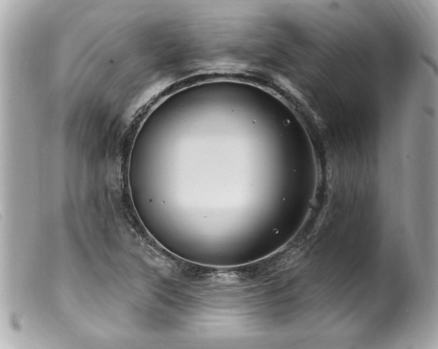 X0000100211315200805301317