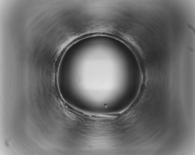 X0000100211316200805301317