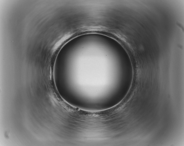 X0000100211317200805301317