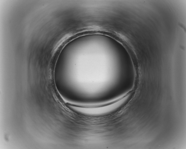 X0000100211318200805301317