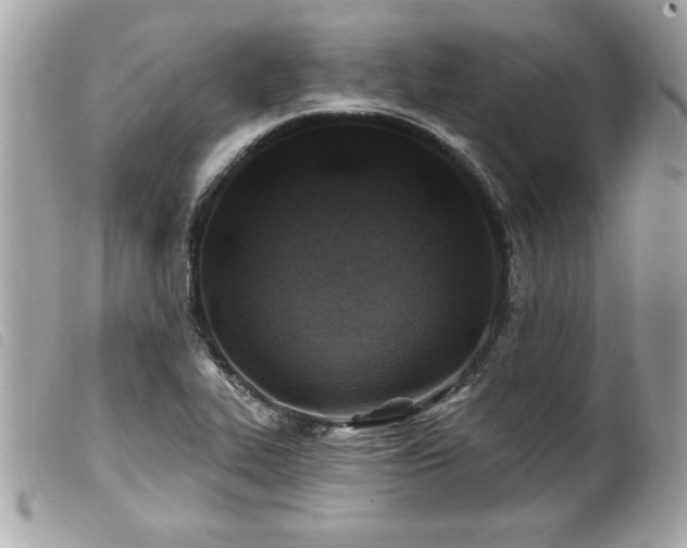 X0000100211319200805301317