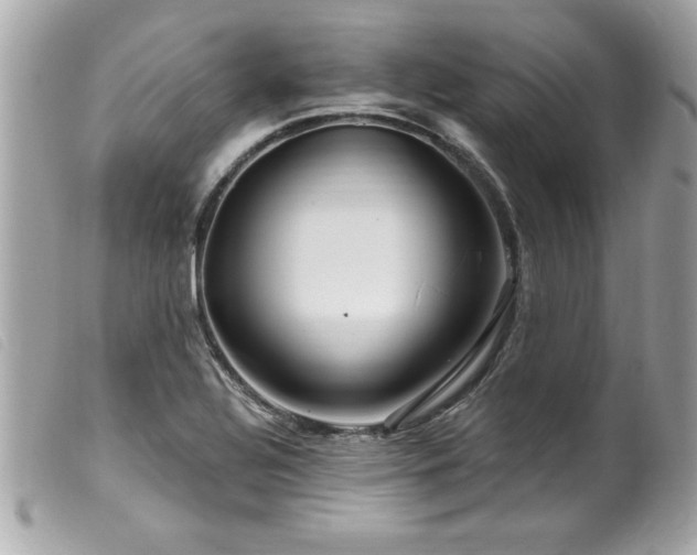 X0000100211320200805301317