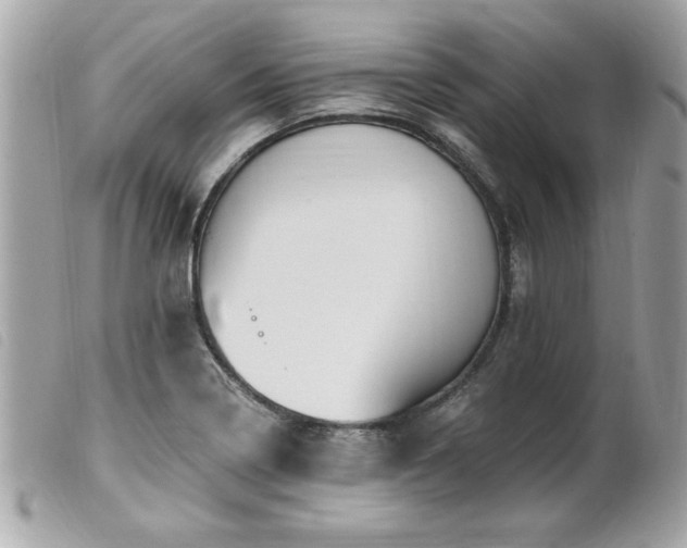 X0000100211322200805301317
