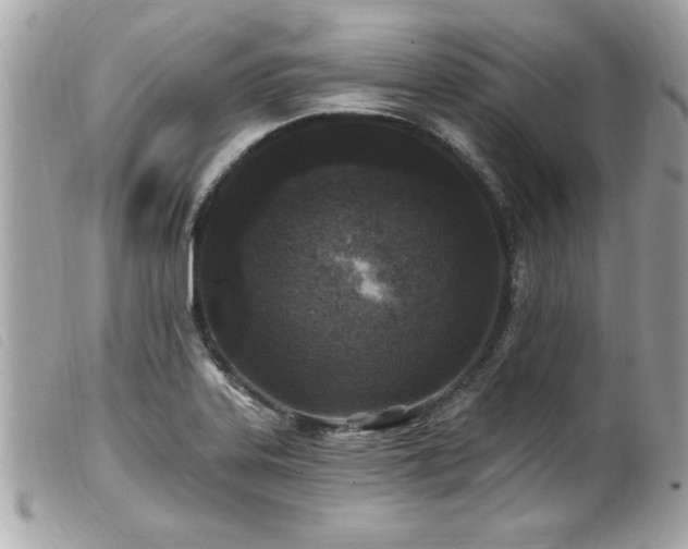 X0000100211323200805301317