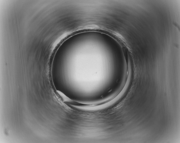 X0000100211326200805301317