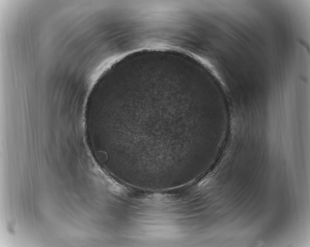 X0000100211327200805301317