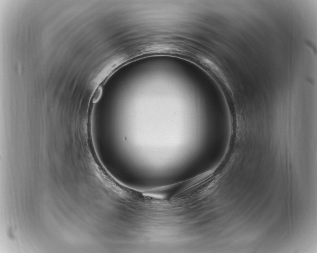 X0000100211330200805301317