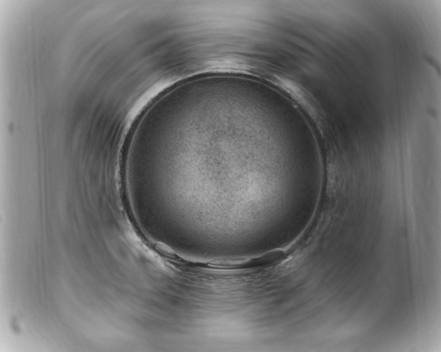 X0000100211331200805301317