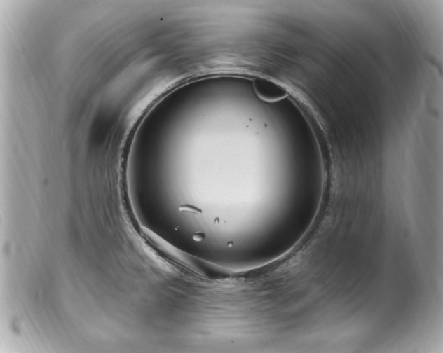 X0000100211333200805301318