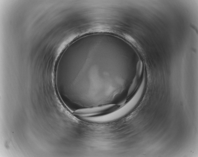 X0000100211334200805301318