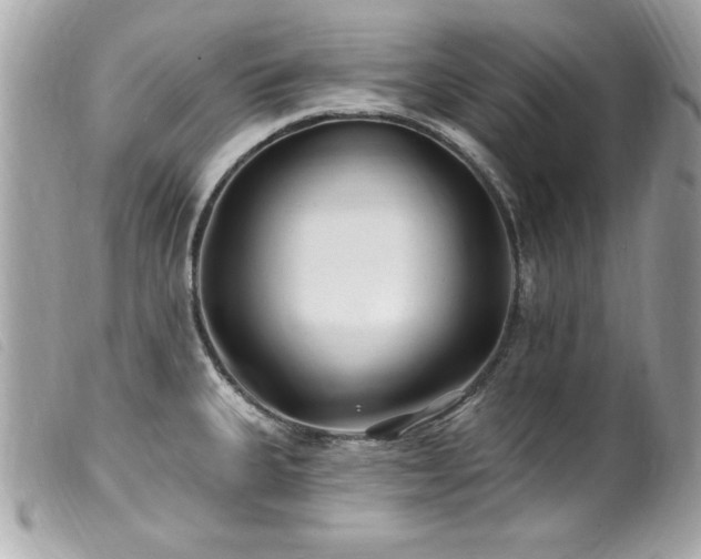 X0000100211335200805301318