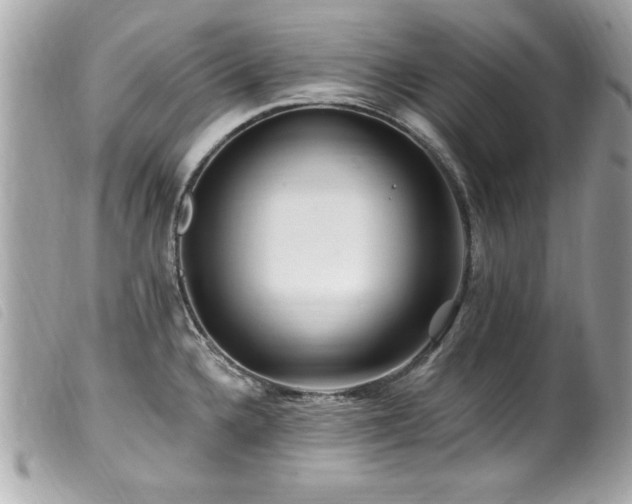 X0000100211336200805301318