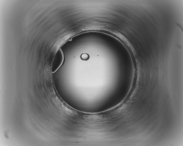 X0000100211337200805301318