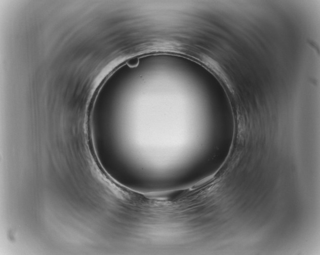 X0000100211339200805301318