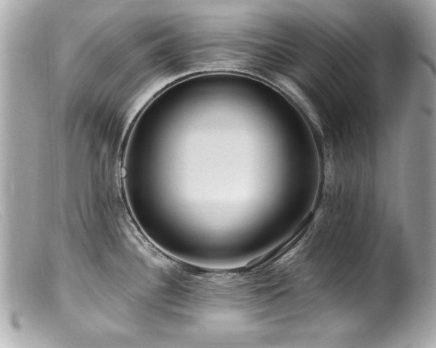 X0000100211340200805301318