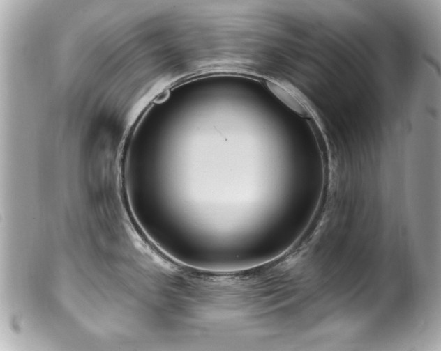 X0000100211341200805301318