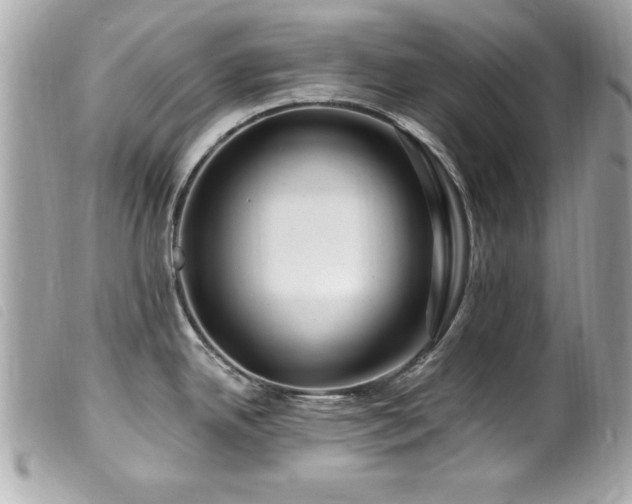 X0000100211342200805301318