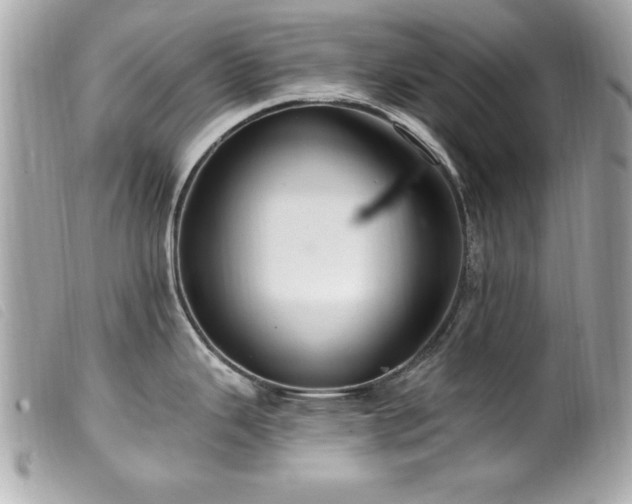 X0000100211343200805301318