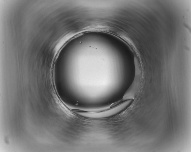 X0000100211344200805301318