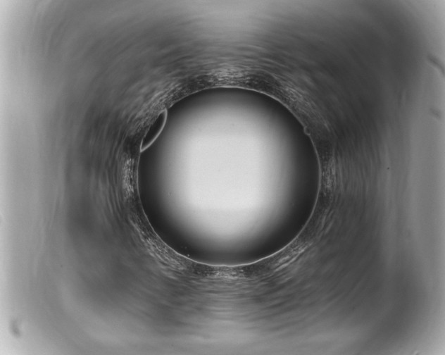 X0000100211346200805301317