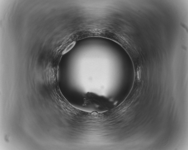 X0000100211347200805301317