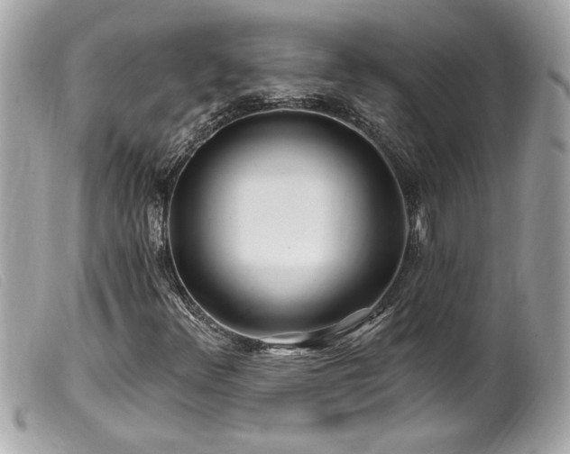 X0000100211348200805301317