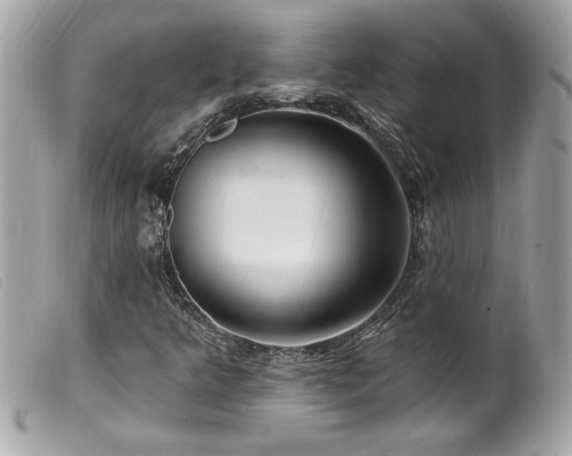 X0000100211349200805301317