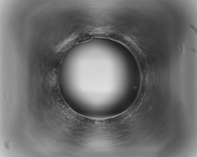 X0000100211350200805301317