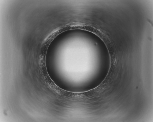 X0000100211351200805301317