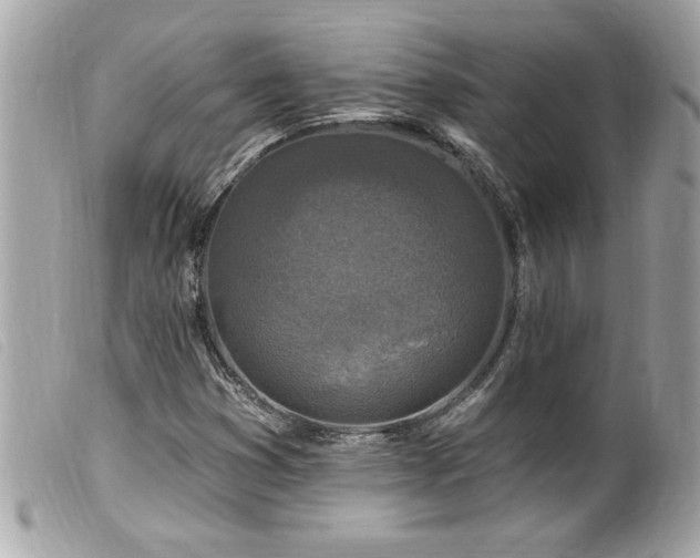 X0000100211353200805301317