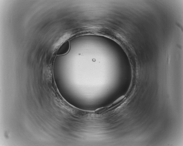 X0000100211354200805301317