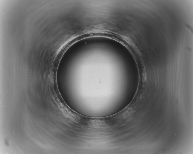 X0000100211356200805301317