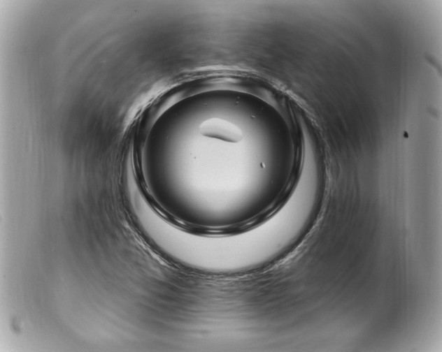 X0000100211357200805301317