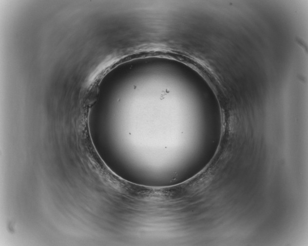 X0000100211359200805301317