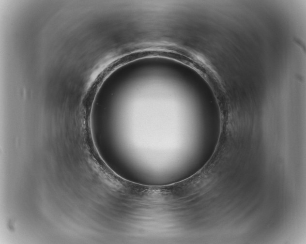 X0000100211360200805301317