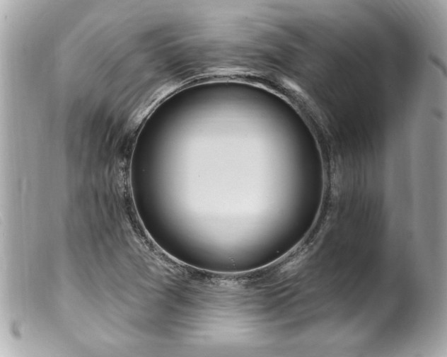 X0000100211361200805301317