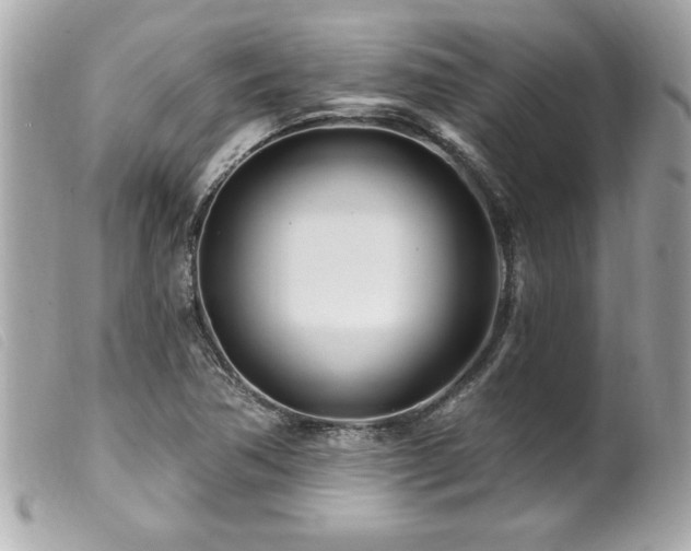 X0000100211362200805301317