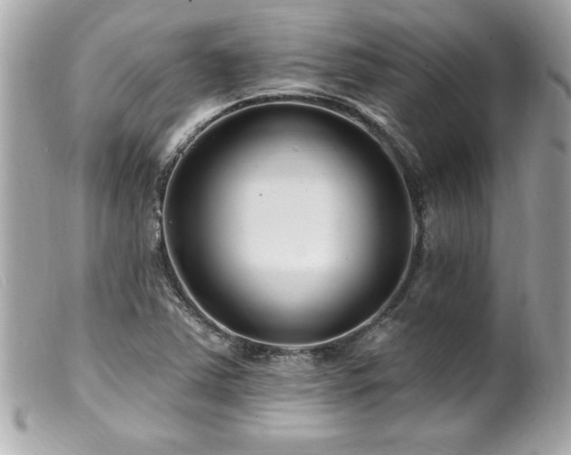 X0000100211363200805301317