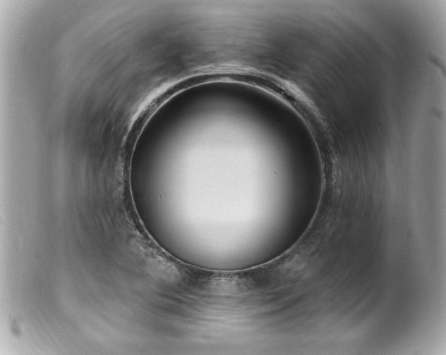 X0000100211364200805301317