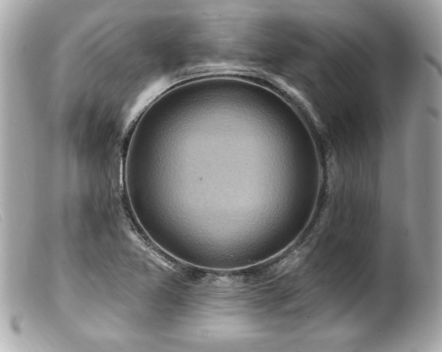X0000100211365200805301317