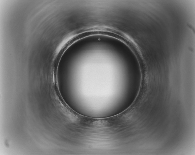X0000100211368200805301317